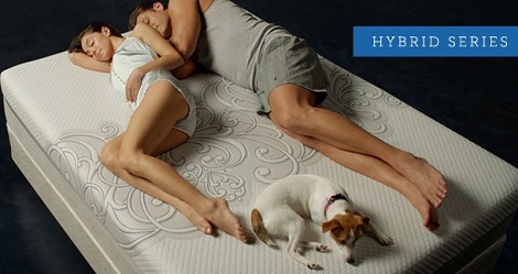 Sealy is het nieuwste merk bij Slaapkenner Theo Bot,whatever you do in bed sealy supports it,hybrid classic,ultra,plush,hond, man en vrouw slapen goed,juiste ondersteuning lichaam